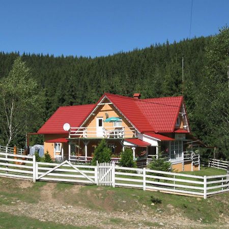 Podina Guest House Poiana Horea Exteriér fotografie