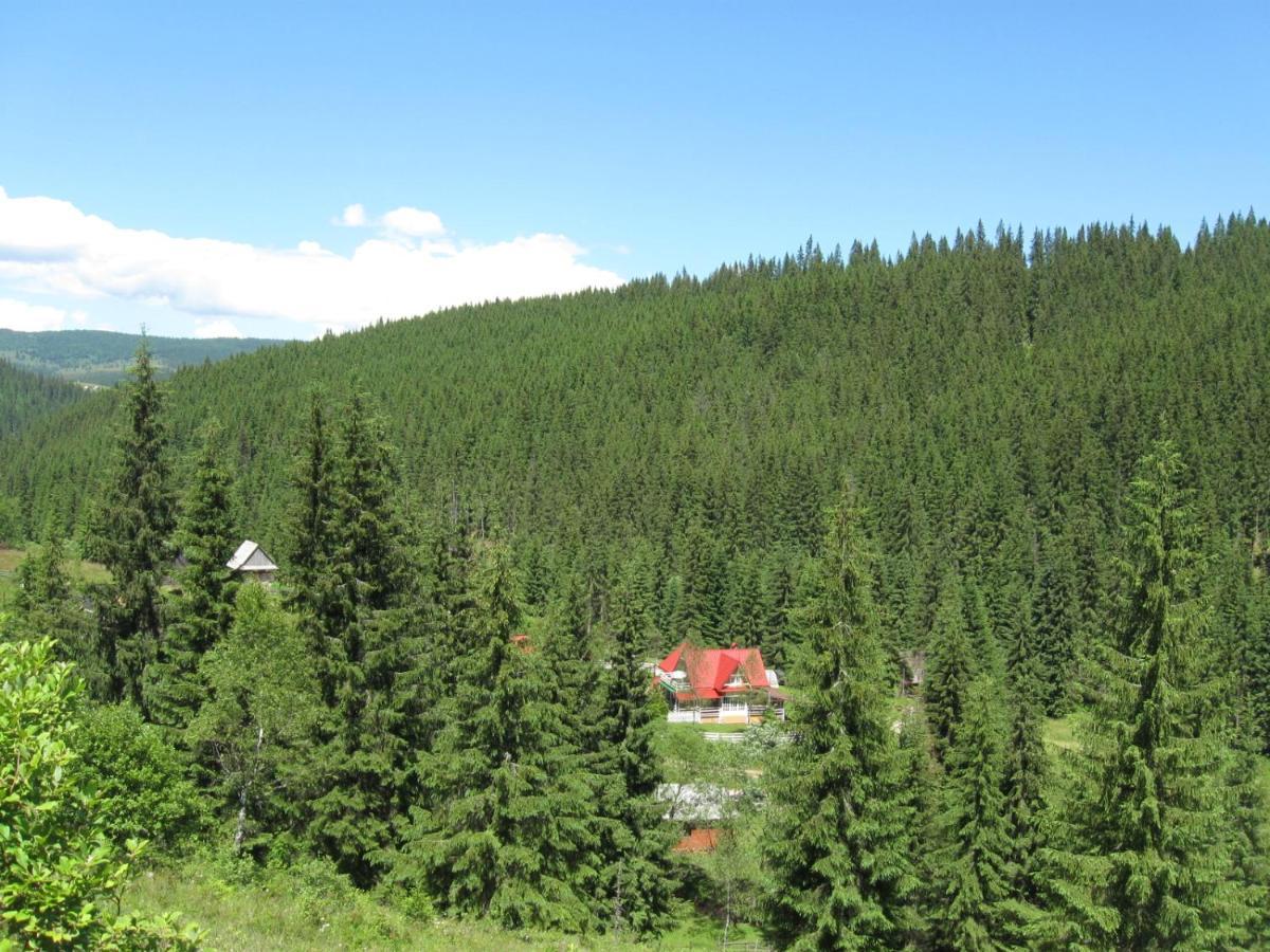 Podina Guest House Poiana Horea Exteriér fotografie