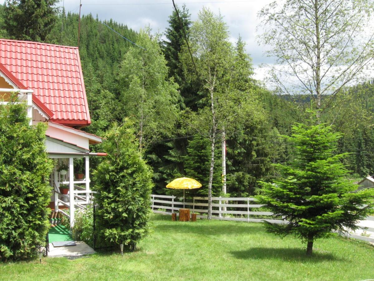 Podina Guest House Poiana Horea Exteriér fotografie