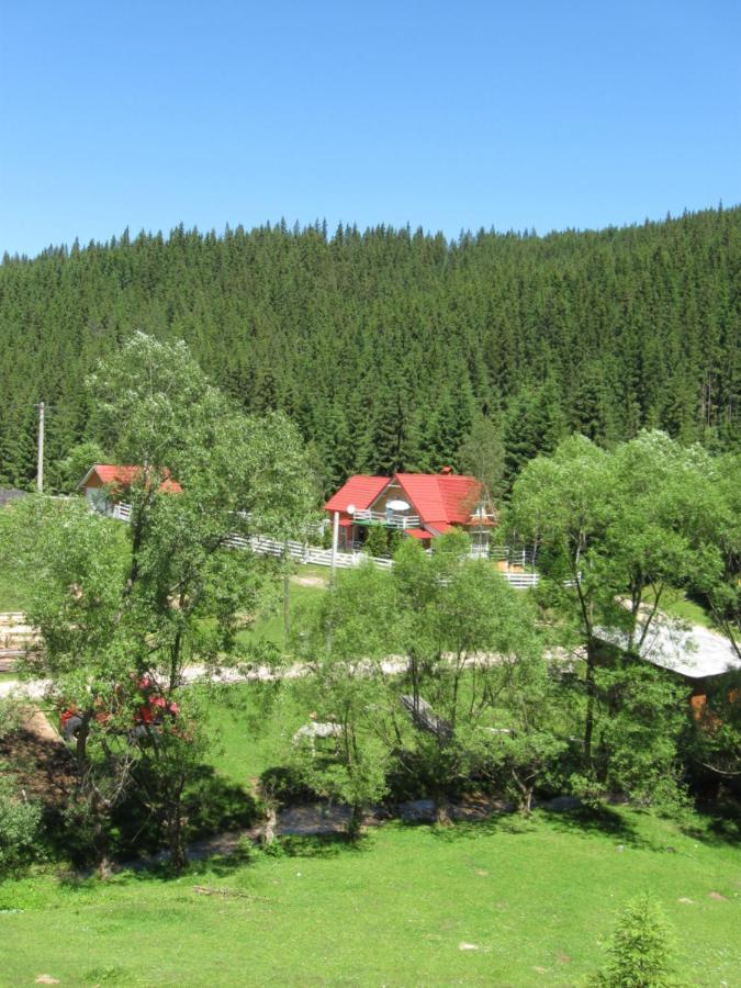 Podina Guest House Poiana Horea Exteriér fotografie