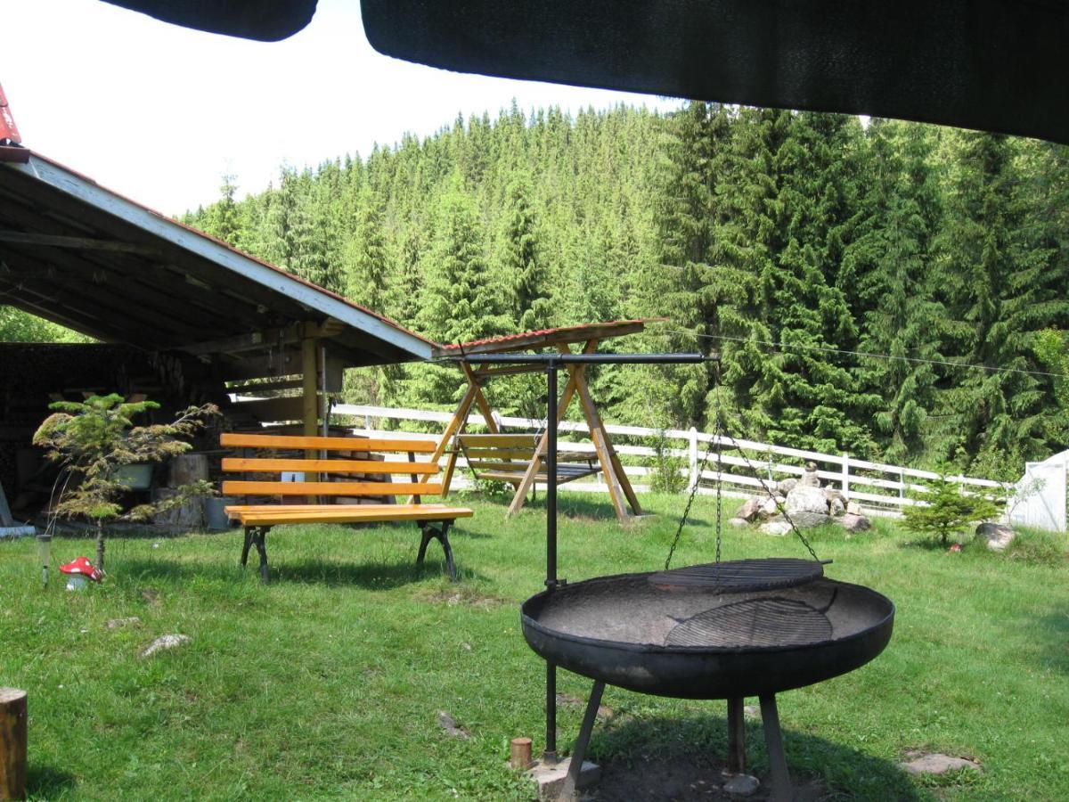 Podina Guest House Poiana Horea Exteriér fotografie