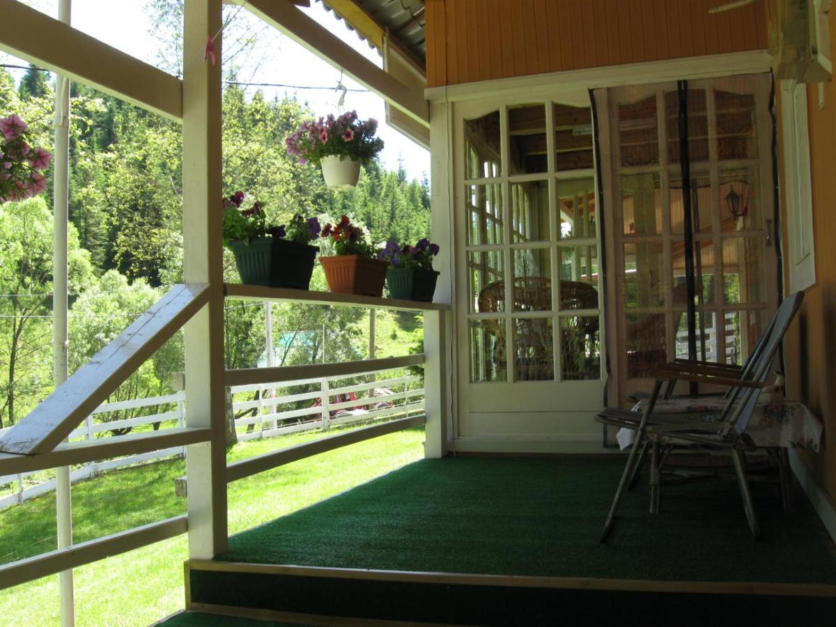 Podina Guest House Poiana Horea Exteriér fotografie