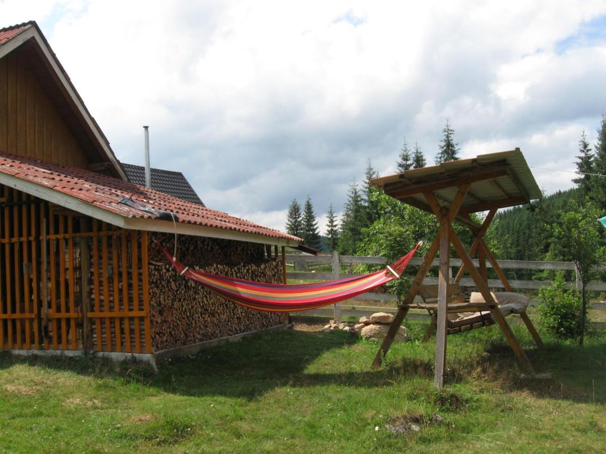 Podina Guest House Poiana Horea Exteriér fotografie