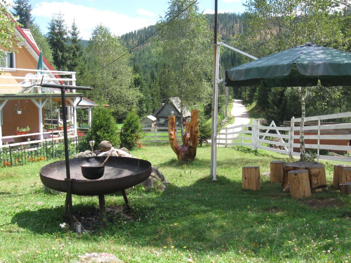 Podina Guest House Poiana Horea Exteriér fotografie